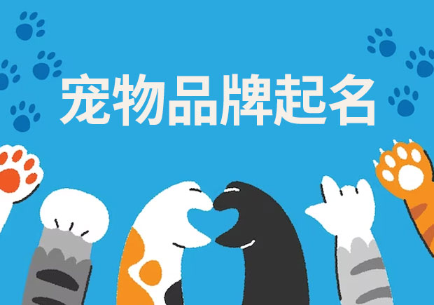 探索寵物品牌起名的奧秘：技巧、來歷與差異
