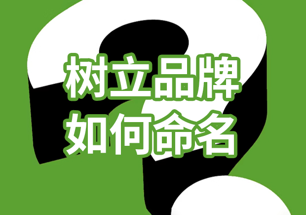 品牌獨(dú)角獸：樹立品牌如何命名，引爆市場熱潮