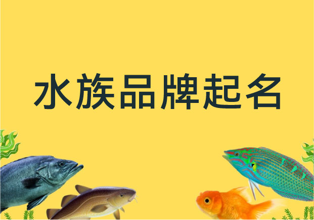 水族品牌起名：從“賣魚缸”到“造意境”，如何用名字裁出品牌的審美溢價？